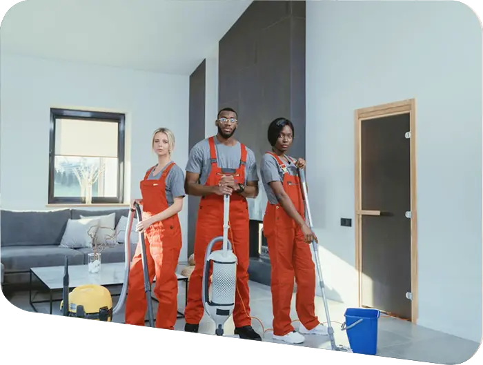 Furniture Cleaning